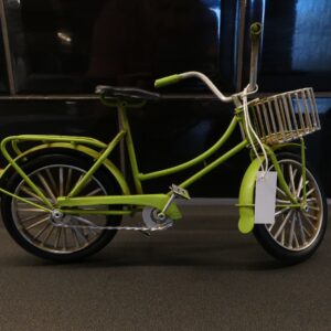 V51 small green bicycle