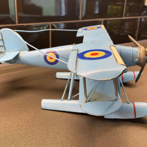 blue seaplane